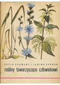 Rośliny towarzyszące człowiekowi