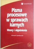 Pisma procesowe w sprawach karnych