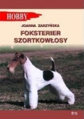 Foksterier szorstkowłosy