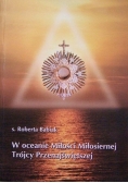 W oceanie miłości i miłosierdzia Trójcy Przenajświętszej