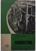 Górnictwo