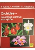 Orchidee- amatorska uprawa storczyków