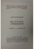Budowa organów, część II
