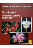 Orchidee amatorska uprawa storczyków