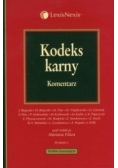 Kodeks karny Komentarz