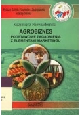 Agrobiznes podstawowe zagadnienia z elementami marketingu