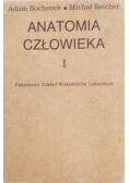 Anatomia człowieka Tom I