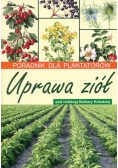 Uprawa ziół Poradnik dla plantatorów
