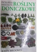 Rośliny doniczkowe