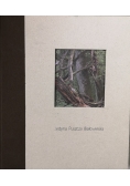 Jedyna Puszcza Białowieska