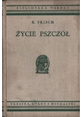 Życie pszczół