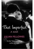 Past Imperfect a novel