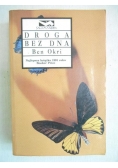 Droga bez dna