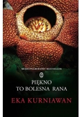 Piękno to bolesna rana