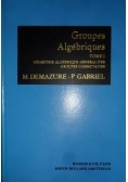 Groupes algebriques Tom I
