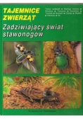 Zadziwiający świat stawonogów