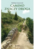 Camino znaczy droga