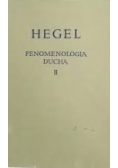 Fenomenologia ducha II
