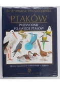 Ilustrowana encyklopedia ptaków Przewodnik po świecie ptaków