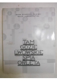 Tam gdzie lwowskie śpią orlęta