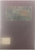 Boski przyjaciel, 1926 r.