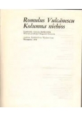 Kolumna niebios