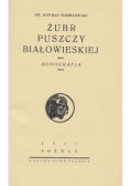 Żubr puszczy Białowieskiej 1927 r.