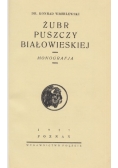 Żubr puszczy Białowieskiej, 1927 r.
