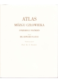 Atlas mózgu człowieka i przebiegu włókien, replint z 1895