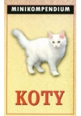 Koty