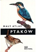 Mały atlas ptaków