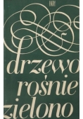 Drzewo rośnie zielono