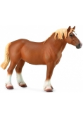 Ogier Belgian Mare gniady