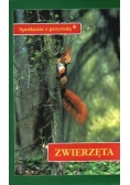 Spotkania z przyrodą zwierzęta