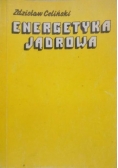 Energetyka Jądrowa