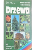 Drzewa. Encyklopedia kieszonkowa