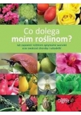 Co dolega moim roślinom? Nowa