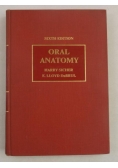 Oral Anatomy