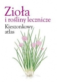 Zioła i rośliny lecznicze Kieszonkowy atlas