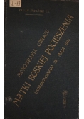 Monografia obrazu Matki Boskiej Pocieszenia, 1906 r.