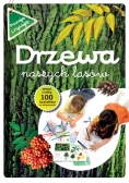 Drzewa naszych lasów zeszyt z kalką