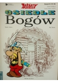 Asterix. Osiedle Bogów, zeszyt 2