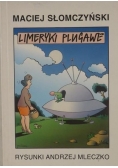 Limeryki plugawe