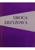Droga krzyżowa. Dzieje nabożeństwa i antologia współczesnych tekstów