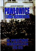 Pawłowice i gmina Krzemieniewo w powstaniu wielkopolskim 1918 1919