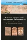 Mechanizmy depozycji w strefie glacimarginalnej zlodowacenia Wisły