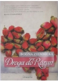 Droga do Różan, Nowa
