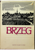 Brzeg