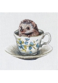 Karnet kwadrat z kopertą Baby Hedgehog