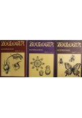 Zoologia Bezkręgowce  3 tomy